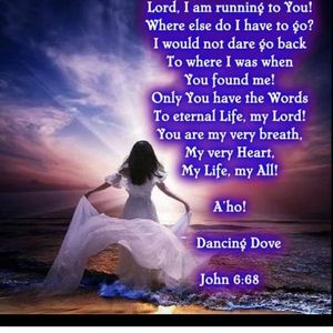 Meet your Posher, Holly